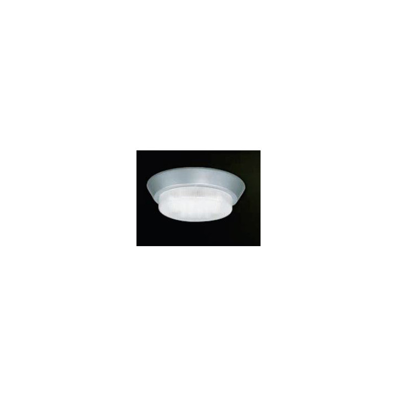 Faretto esterno sat.microfluorescenza ELFO III